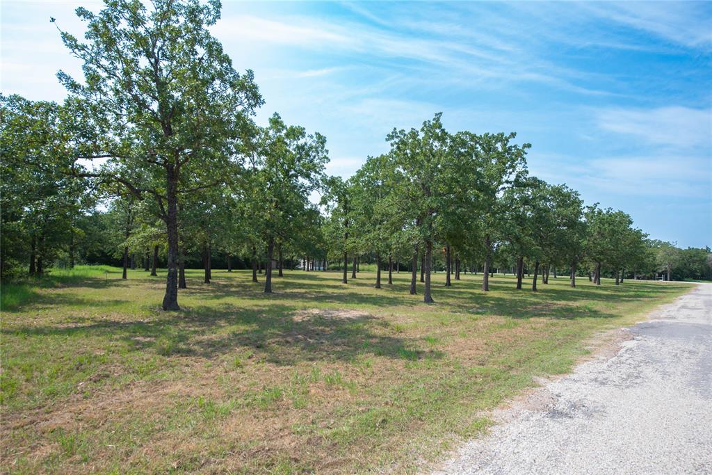 TBD 2 Acres - Overlook Drive, Caldwell, Texas image 7