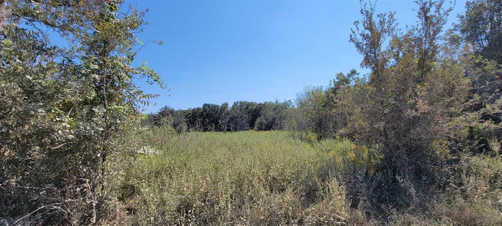 Fm 2540, Van Vleck, Texas image 7