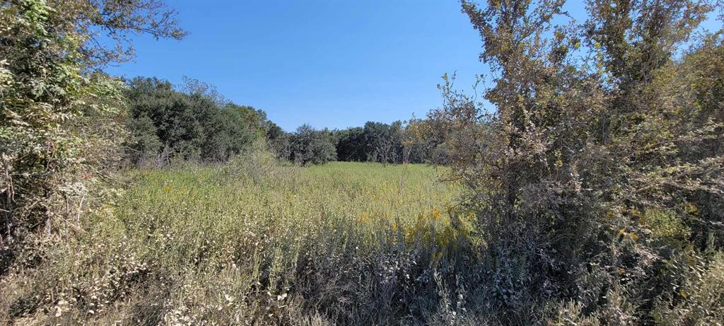 Fm 2540, Van Vleck, Texas image 11