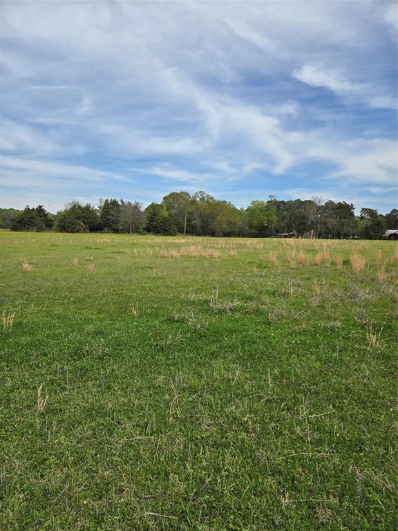13256 Lake Conroe Bay Road, Willis, Texas image 4