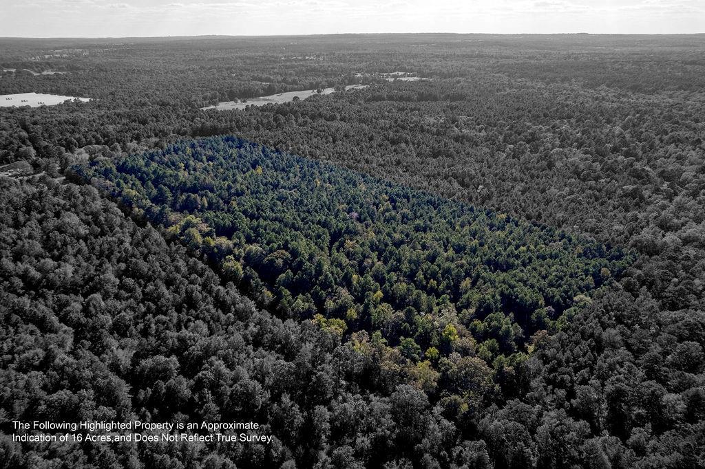 An County Road 352, Palestine, Texas image 7