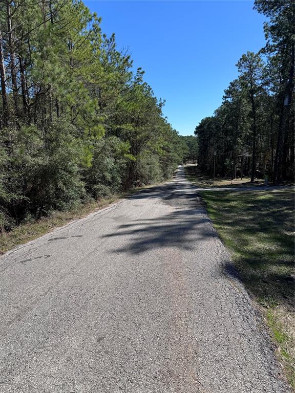 257 Creekside Hbr Hbr, Onalaska, Texas image 28