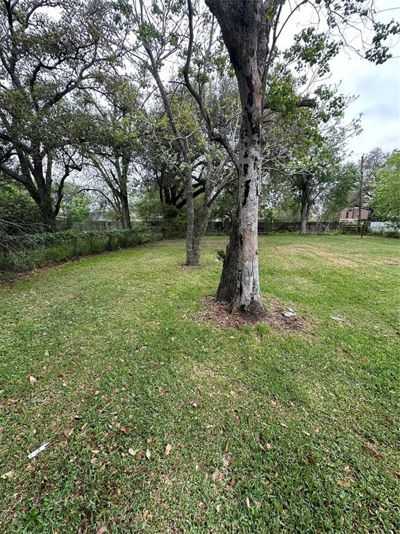 703 S Mccarty Avenue, Eagle Lake, Texas image 4