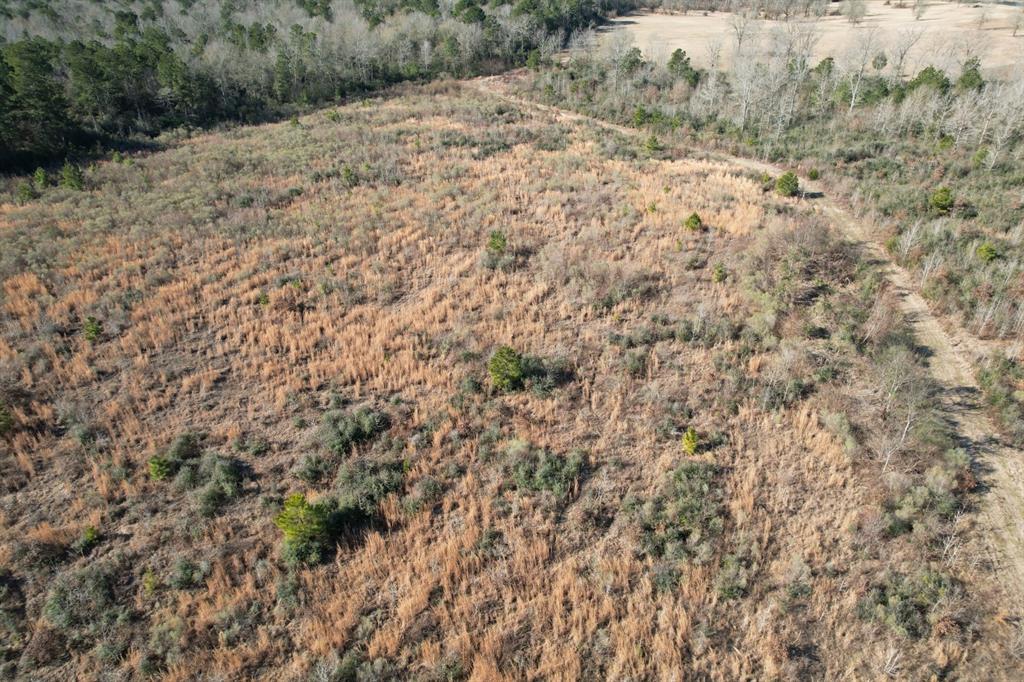 TBD-B County Road 4021, Timpson, Texas image 14