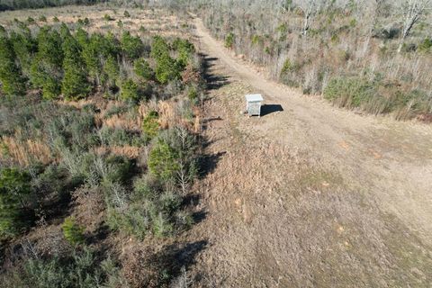 Vacant Land For Sale - TBD-B County Road 4021<br/> Shelby County, Timpson, TX 75975