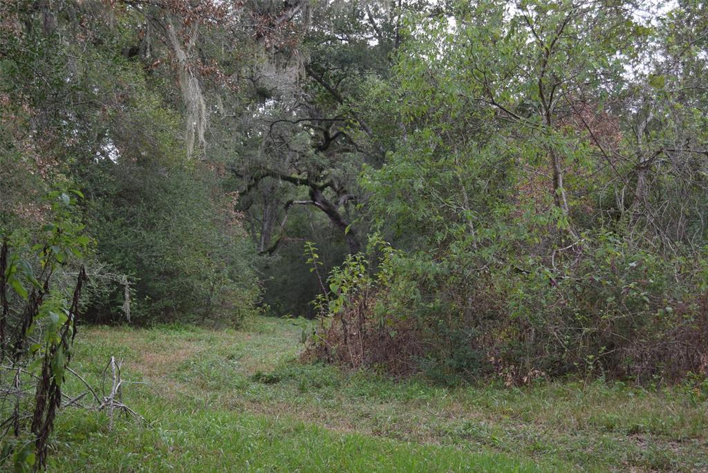 00 Lake View Road, Damon, Texas image 9