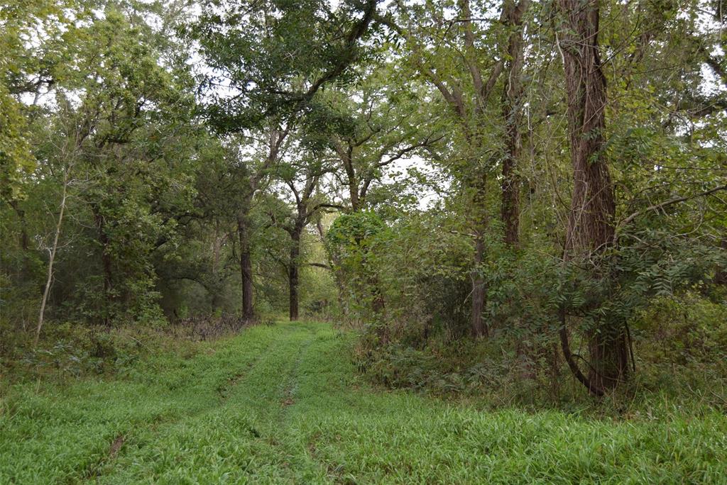 00 Lake View Road, Damon, Texas image 10