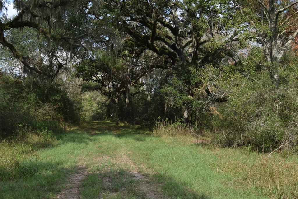 00 Lake View Road, Damon, Texas image 7