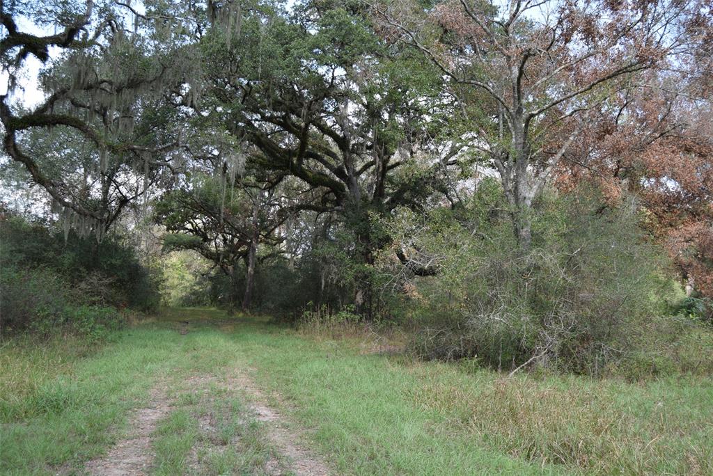 00 Lake View Road, Damon, Texas image 3