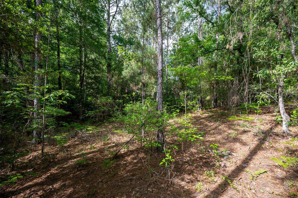 430 Private Rd 7766, Colmesneil, Texas image 8