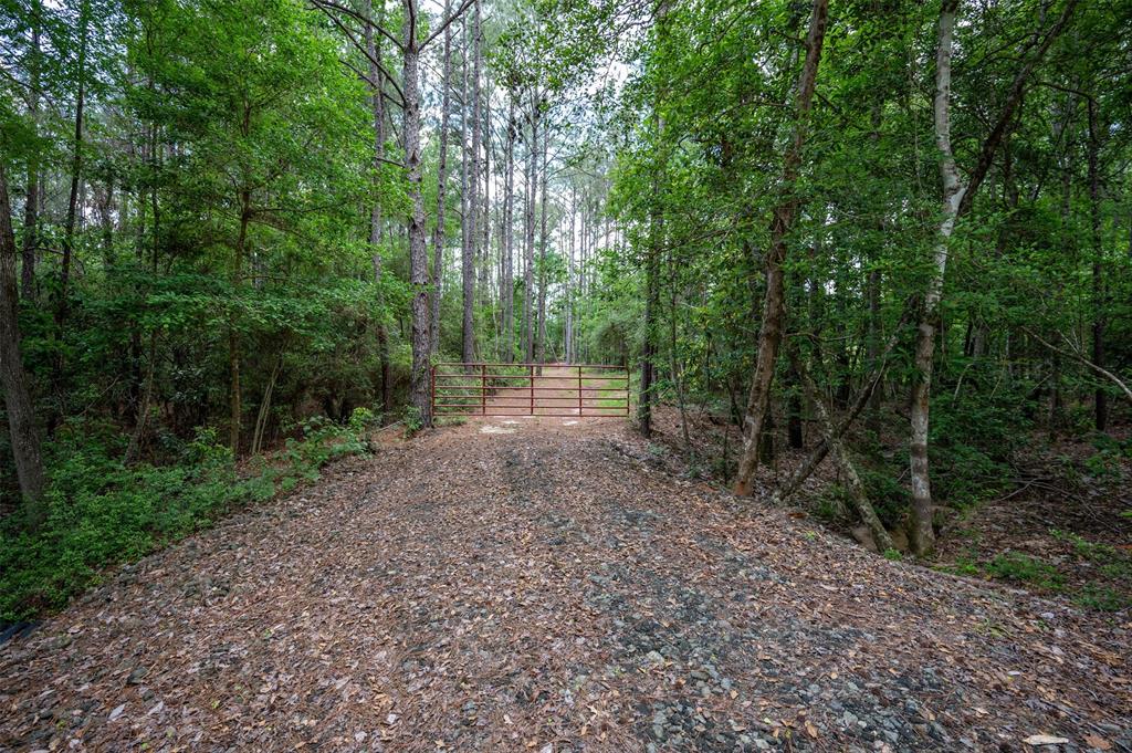 430 Private Rd 7766, Colmesneil, Texas image 2