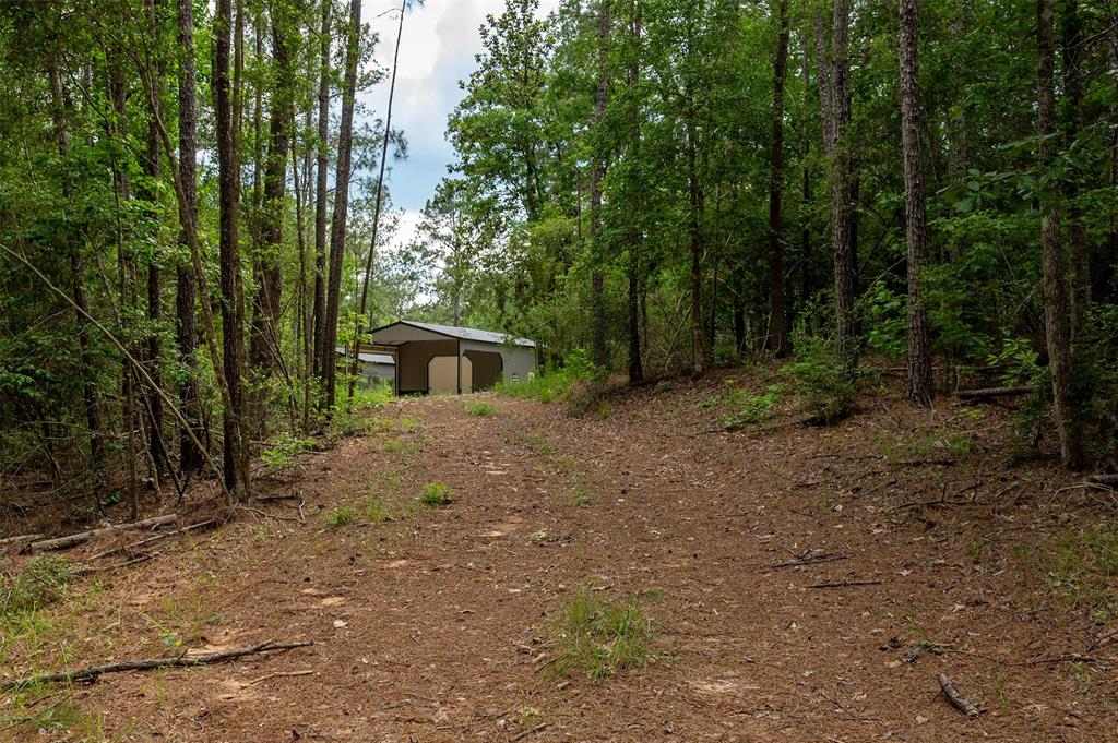 430 Private Rd 7766, Colmesneil, Texas image 11