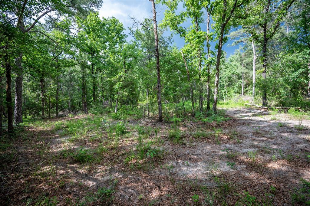 430 Private Rd 7766, Colmesneil, Texas image 10