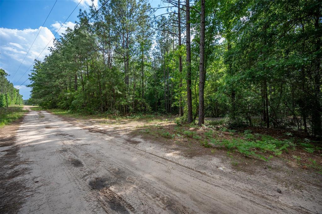 430 Private Rd 7766, Colmesneil, Texas image 20