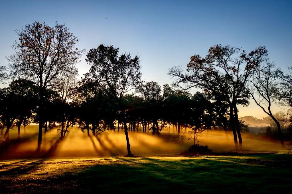 8321 Equestrian Lane, Washington, Texas image 6