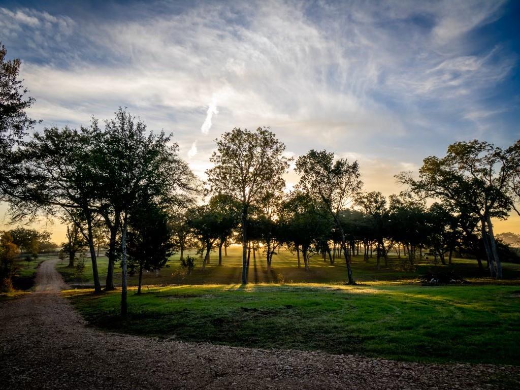 8321 Equestrian Lane, Washington, Texas image 3