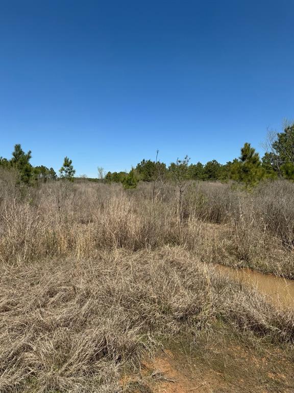 TBD Boards Ferry Rd, Marshall, Texas image 8