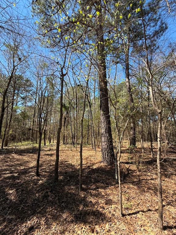 TBD Boards Ferry Rd, Marshall, Texas image 12