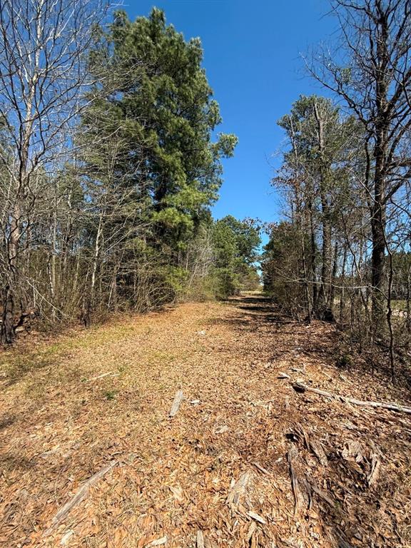 TBD Boards Ferry Rd, Marshall, Texas image 11