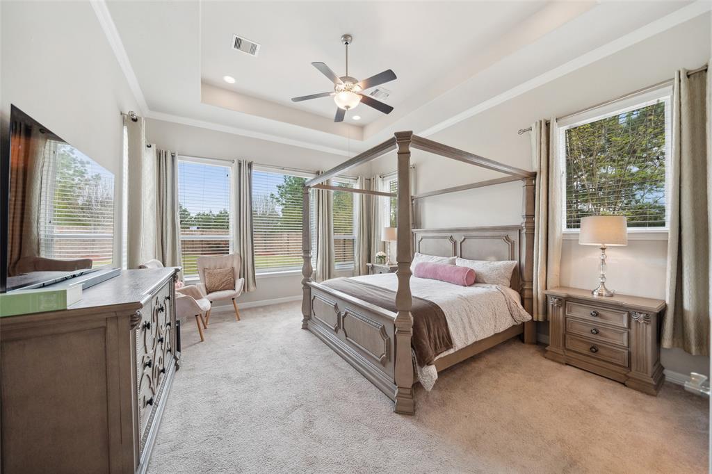 9202 Tracewood Canyon Lane, Tomball, Texas image 14