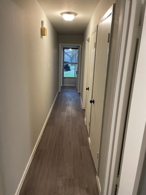 5114 Madden Lane, Houston, Texas image 8