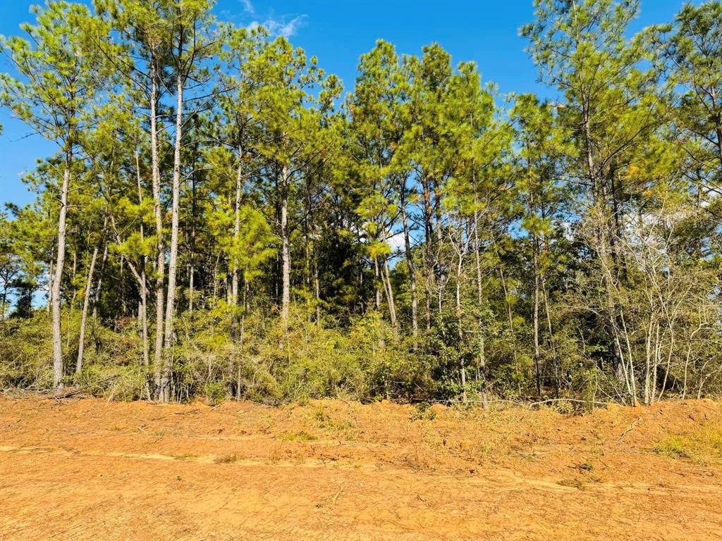 TBD Lakeland Loop Lot 82, Hillister, Texas image 2