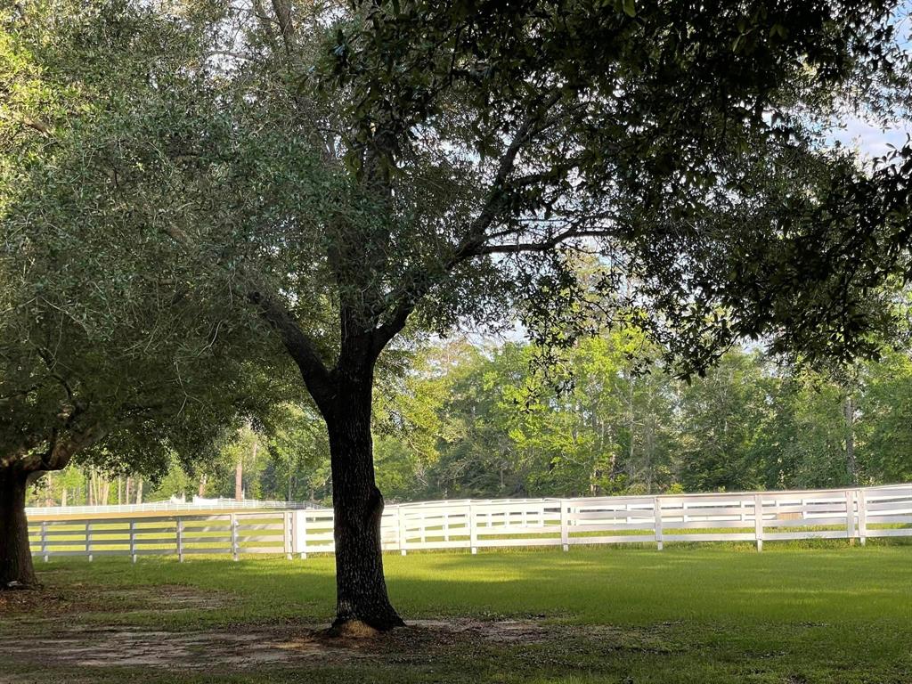 TBD Lakeland Loop Lot 82, Hillister, Texas image 9