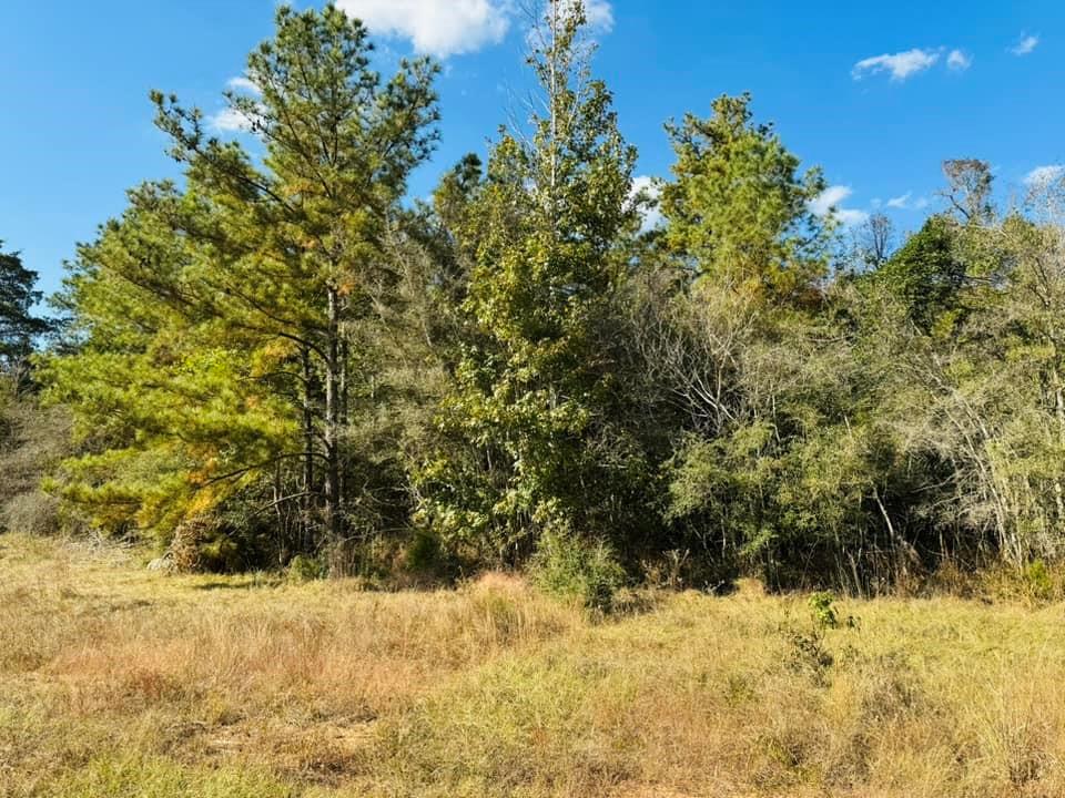 TBD Lakeland Loop Lot 82, Hillister, Texas image 3