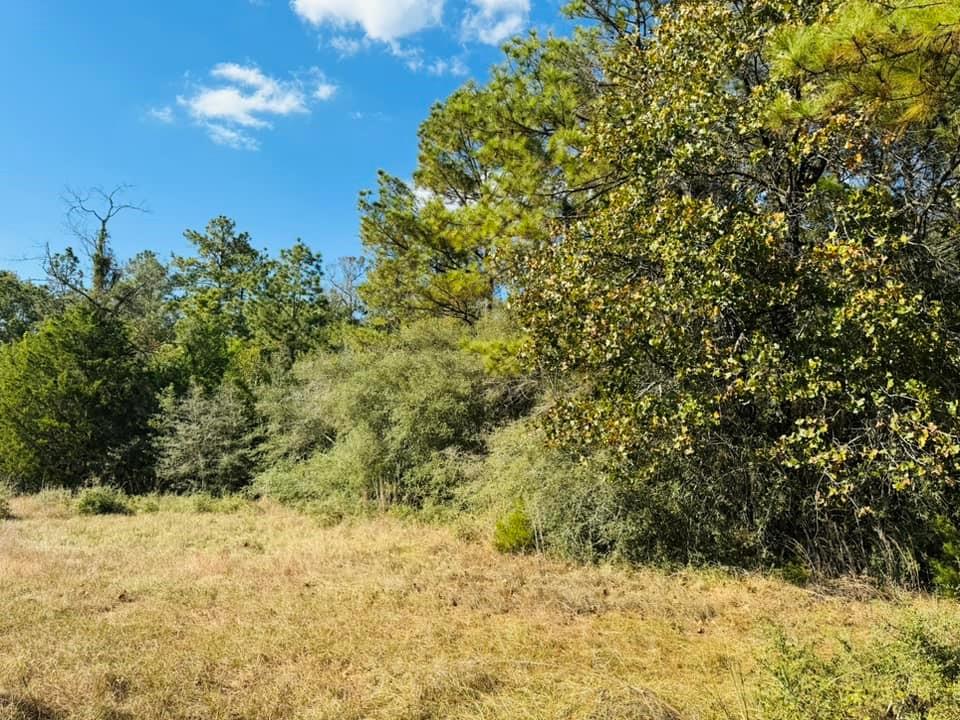 TBD Lakeland Loop Lot 82, Hillister, Texas image 9