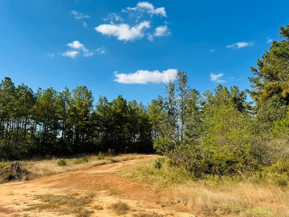 TBD Lakeland Loop Lot 82, Hillister, Texas image 6