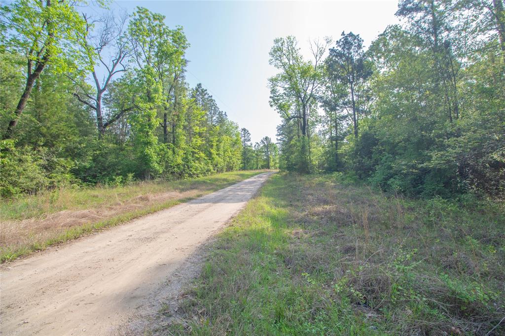 TBD Molt Lane, Point Blank, Texas image 3