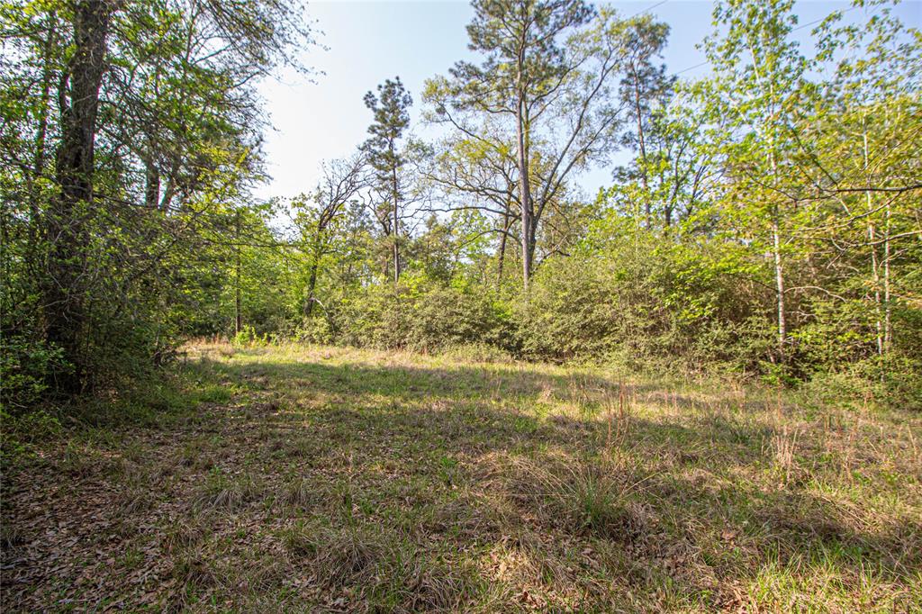 TBD Molt Lane, Point Blank, Texas image 6