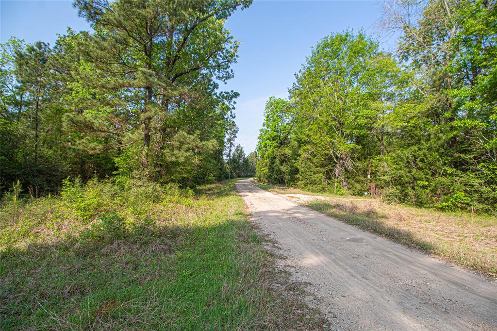 TBD Molt Lane, Point Blank, Texas image 1
