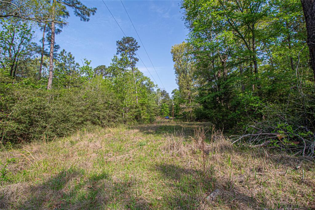 TBD Molt Lane, Point Blank, Texas image 30
