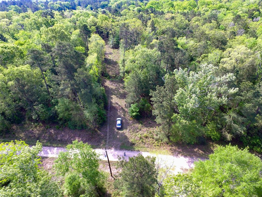 TBD Molt Lane, Point Blank, Texas image 9