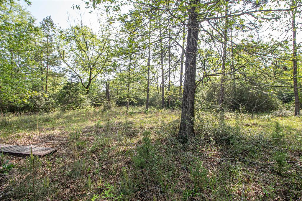 TBD Molt Lane, Point Blank, Texas image 27
