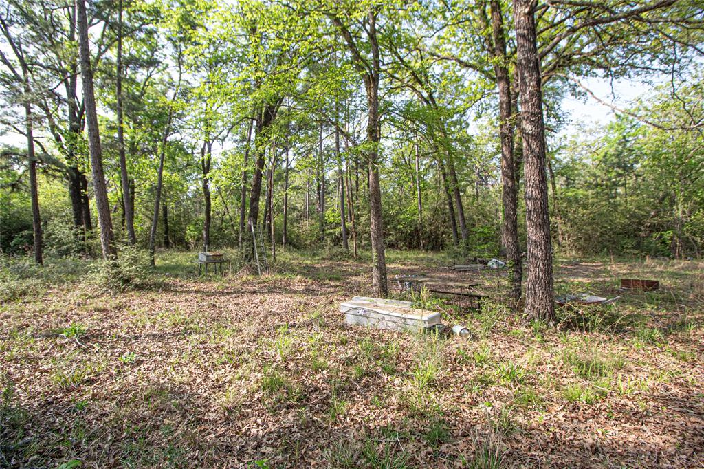 TBD Molt Lane, Point Blank, Texas image 12