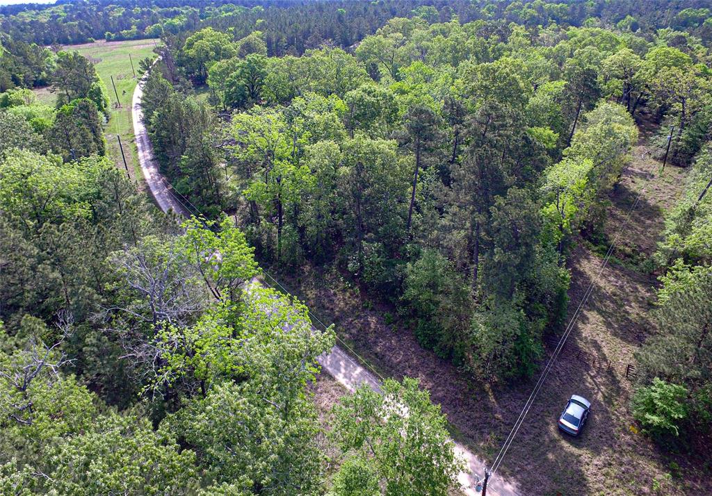 TBD Molt Lane, Point Blank, Texas image 14