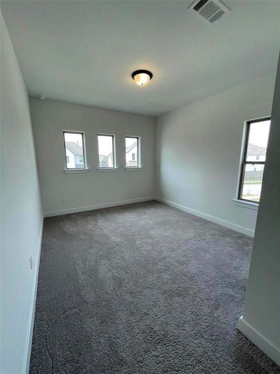 30611 Bahia Oak Bend, Brookshire, Texas image 46
