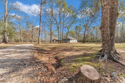 191 Ripple Creek Drive, Coldspring, Texas image 3