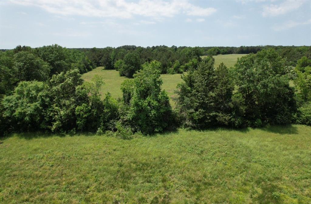 TBD-C Cr 4653, Tenaha, Texas image 9