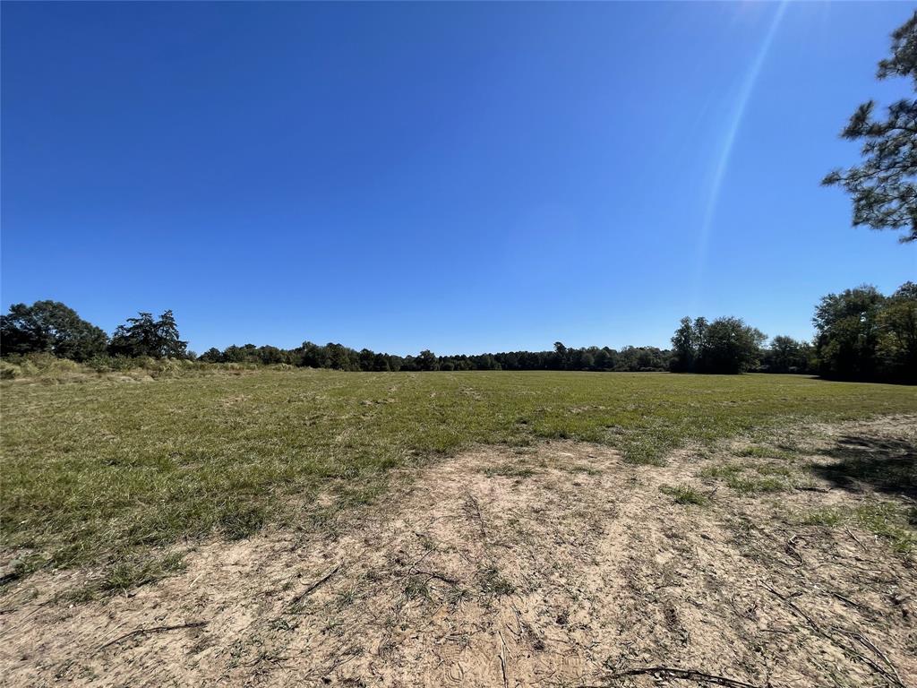 TBD-C Cr 4653, Tenaha, Texas image 3