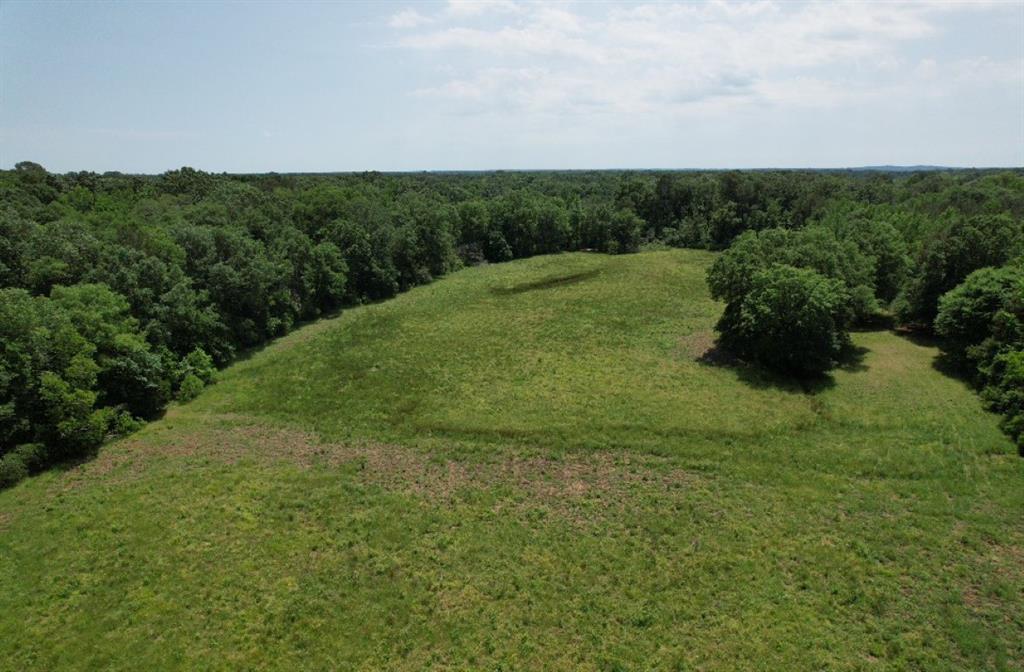 TBD-C Cr 4653, Tenaha, Texas image 8