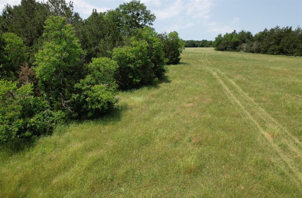 TBD-C Cr 4653, Tenaha, Texas image 7