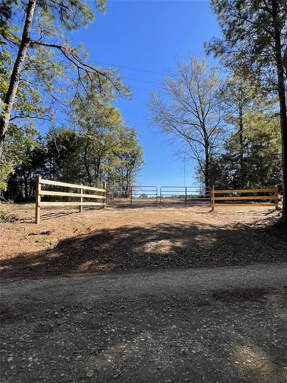 TBD-C Cr 4653, Tenaha, Texas image 4