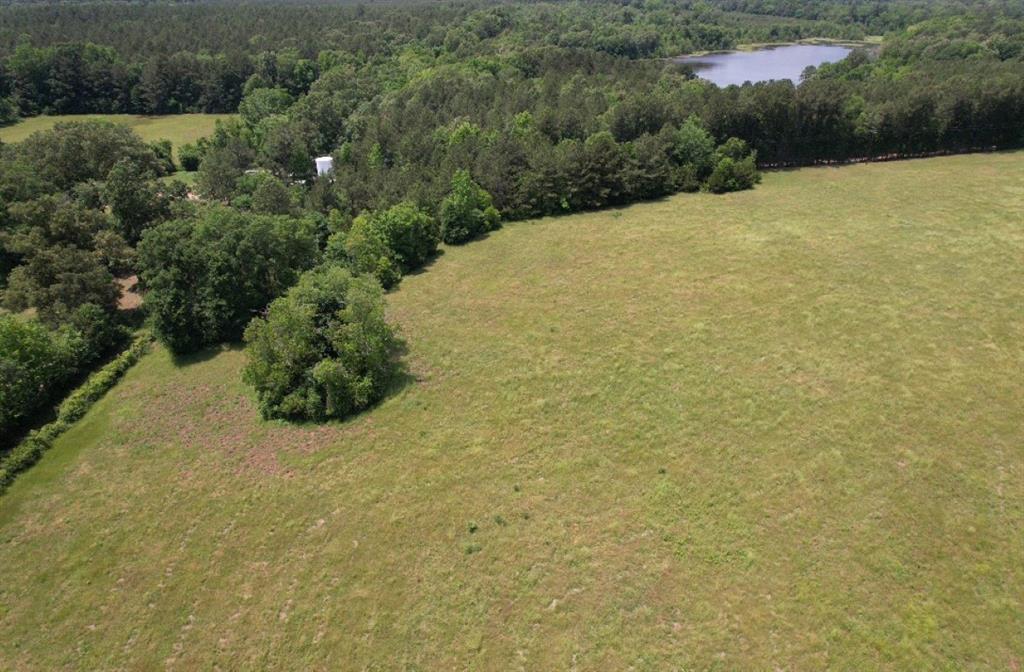 TBD-C Cr 4653, Tenaha, Texas image 6