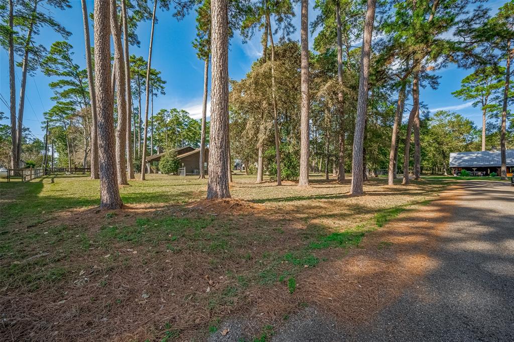 Burnt Mills, Willis, Texas image 3