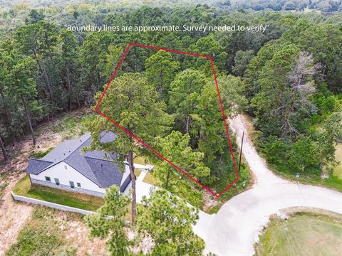 12167 La Salle River Road Conroe TX 77304