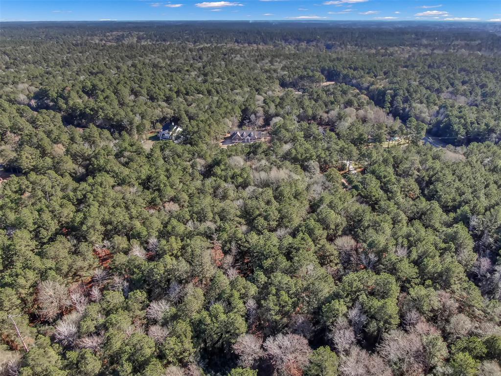 Lot 16 Grand View, Huntsville, Texas image 12