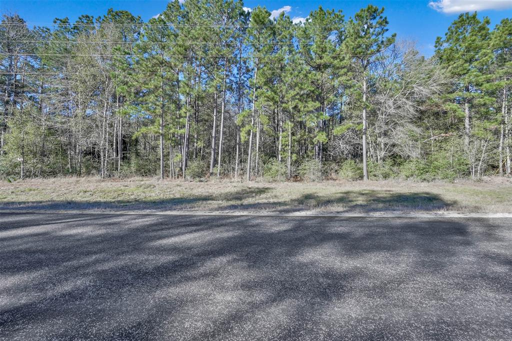 Lot 16 Grand View, Huntsville, Texas image 8